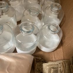 Clear Glass Flower Vase