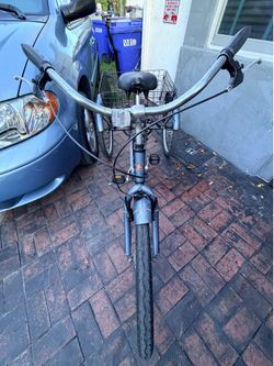 Schwinn Meridian Adult Tricycle