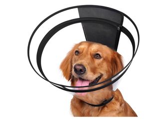 XL Didopet Dog Cone, Transparent Recovery Collar For Large  Dogs 