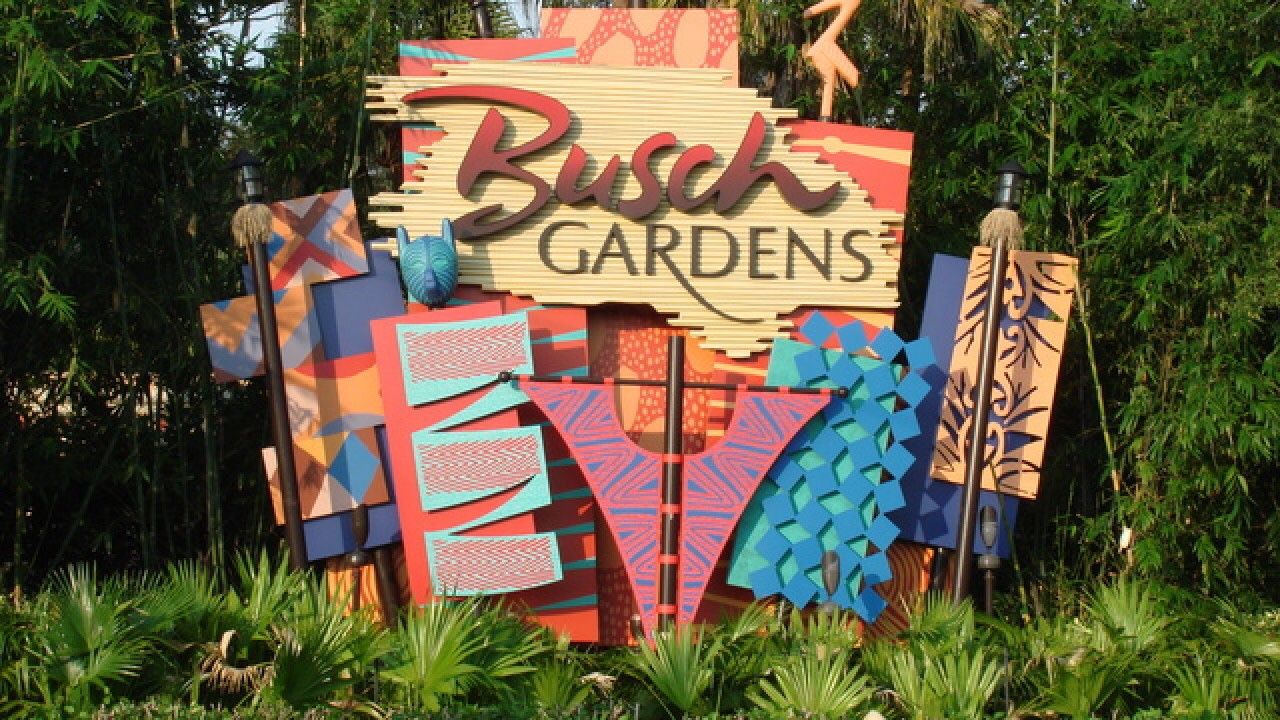 Bush gardens tickets