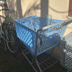 Shopping Carts From Bye-Bye Baby I Purchased Them
