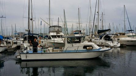 2004 Radon Nz