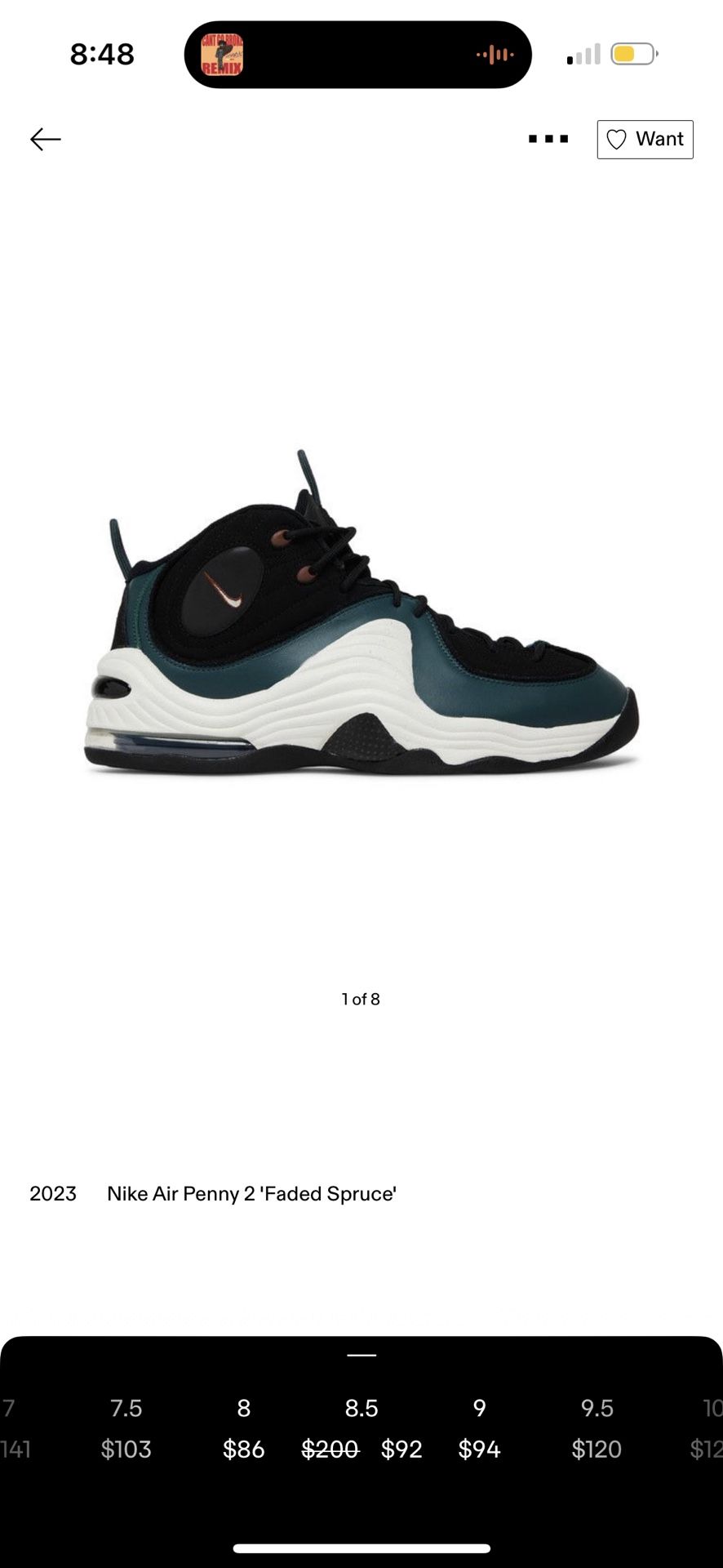 Nike Shoes 