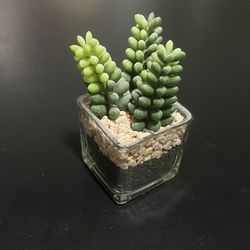 Mini Fake Succulent
