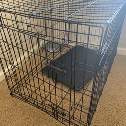 Dog Kennel 