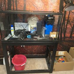 40 Gallon Reptile/Fishtank