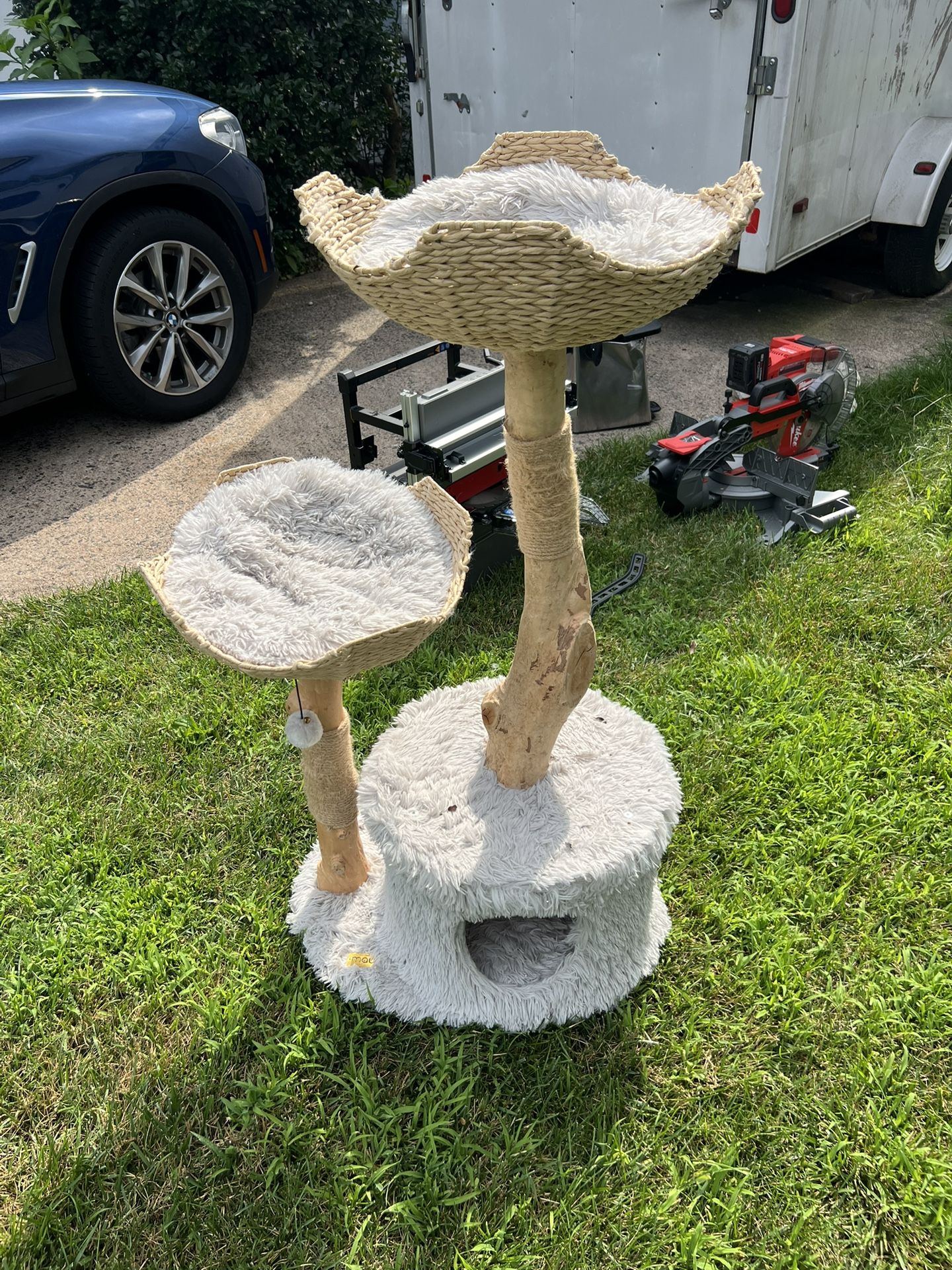 Cat Tower