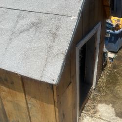 Dog House 