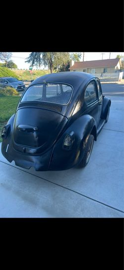 1968 vw bug