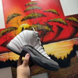 Jordan 12 Dark Grey  Size 11