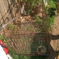 Dog Cage 