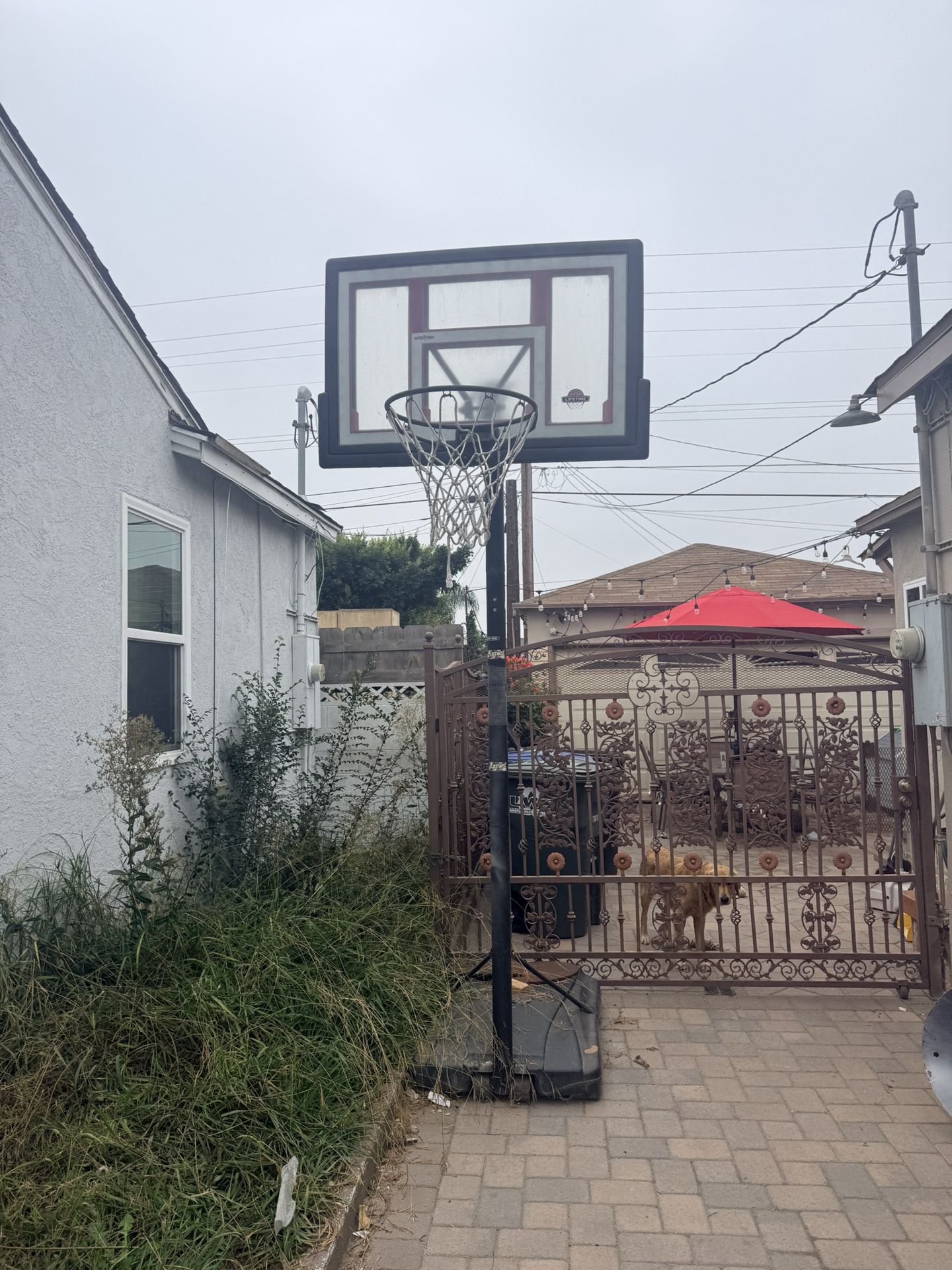 Outdoor Lifetime Basketball Hoop Court
