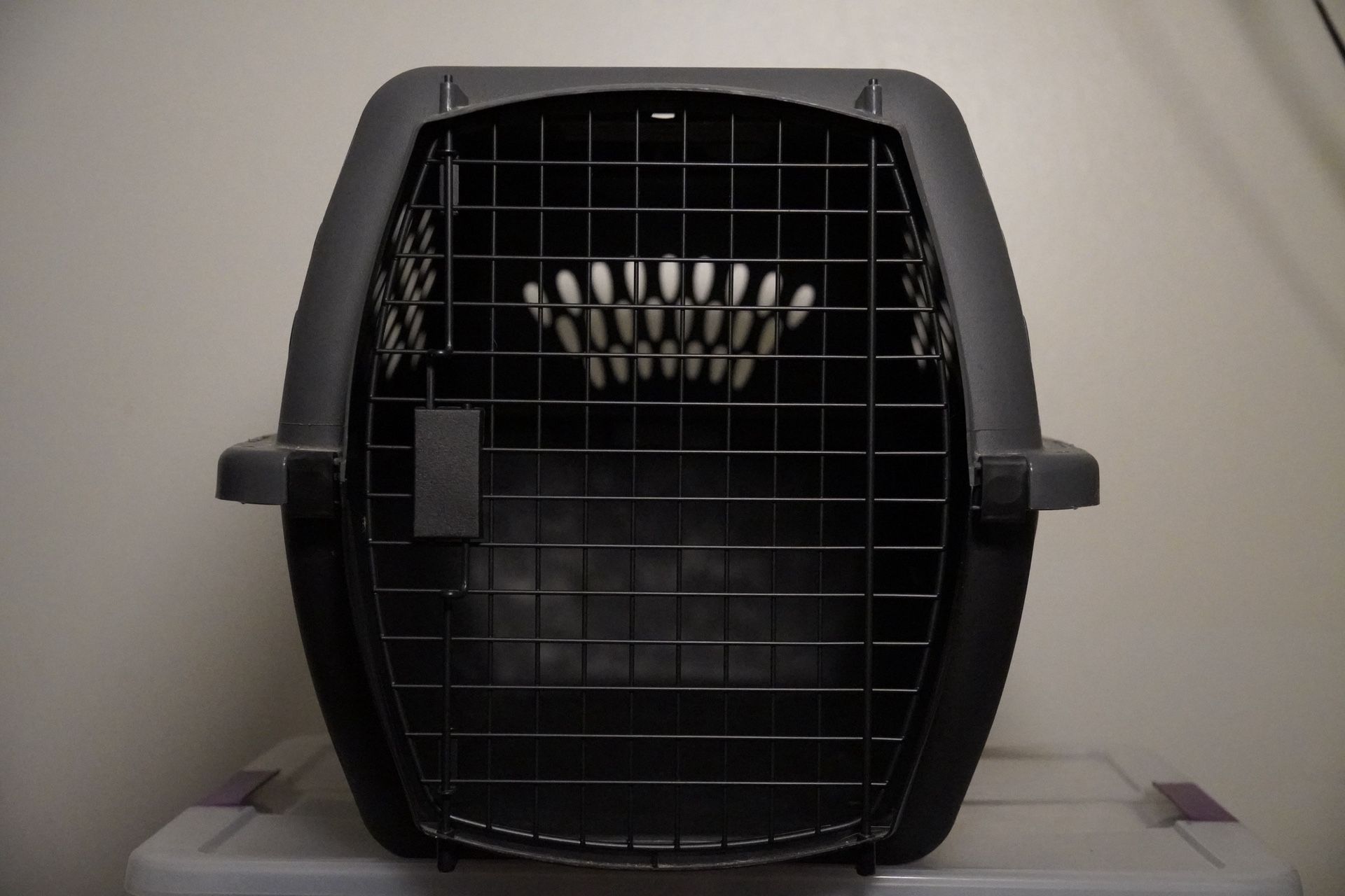 Pet Carrier Kennel – Ventilated + Secure Door