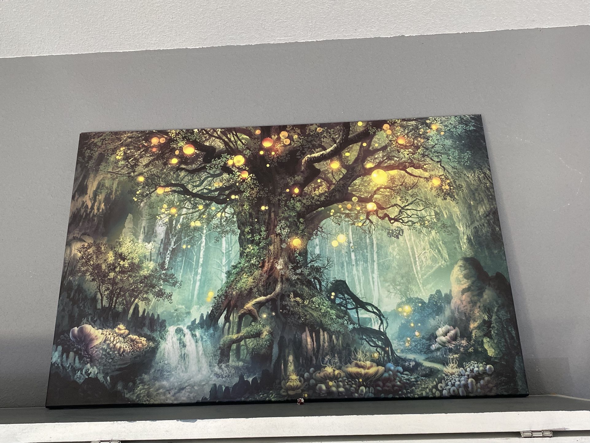 Canvas