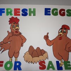 Chicken eggs