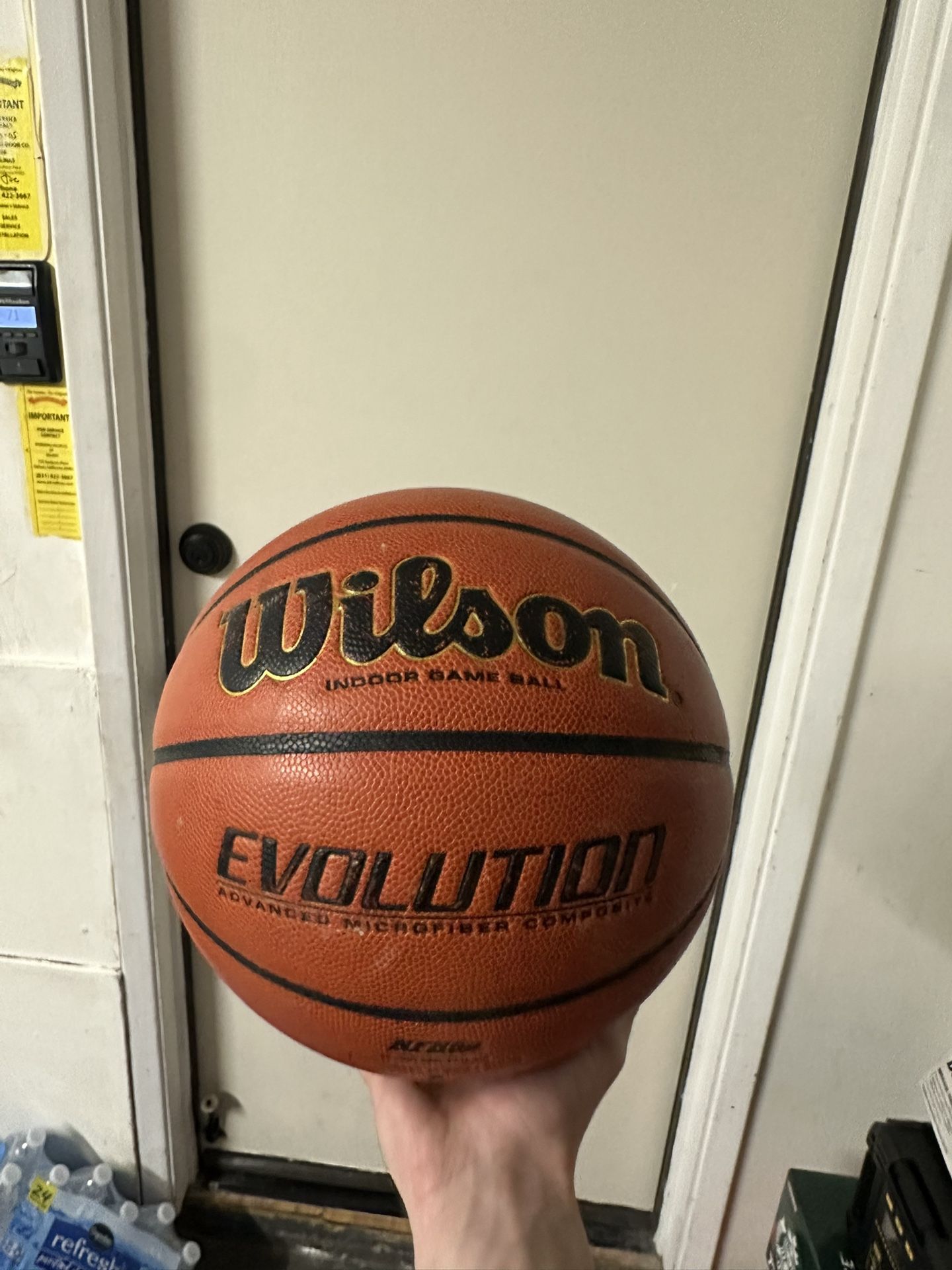 Wilson Evolution Basketball