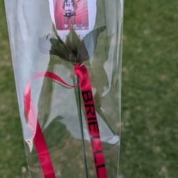 Custom photo Rose.  Team Party, End of the year gift Sports Birthdays anniversary Memorials Just Because  Graduation