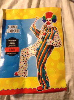 Clown costume