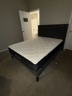Queen Bed