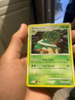 Torterra Holo Bleed Pokemon