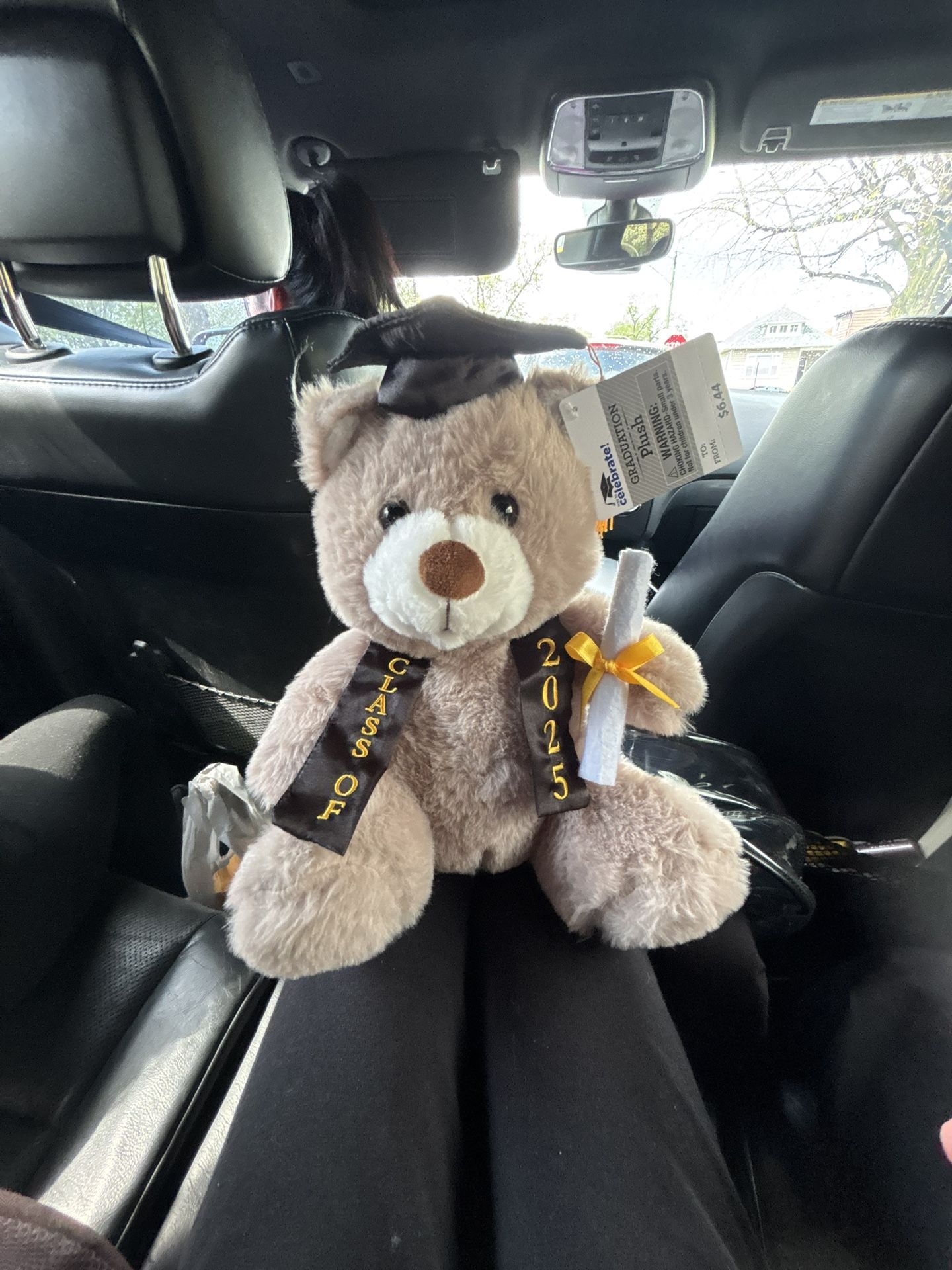 Teddy Bear For Graduation Year 2025!!