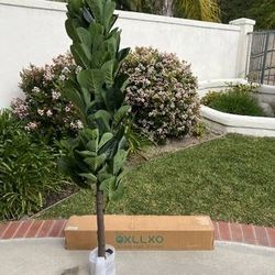 NIB Artificial Faux Fiddle Leaf Fig Tree (6 ft./ 72” tall) retail $159.99