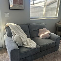 Grey Sectional Couch 