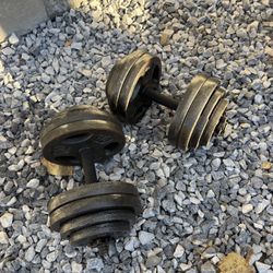 Ajustable Dumbbells 2x60 Lbs 