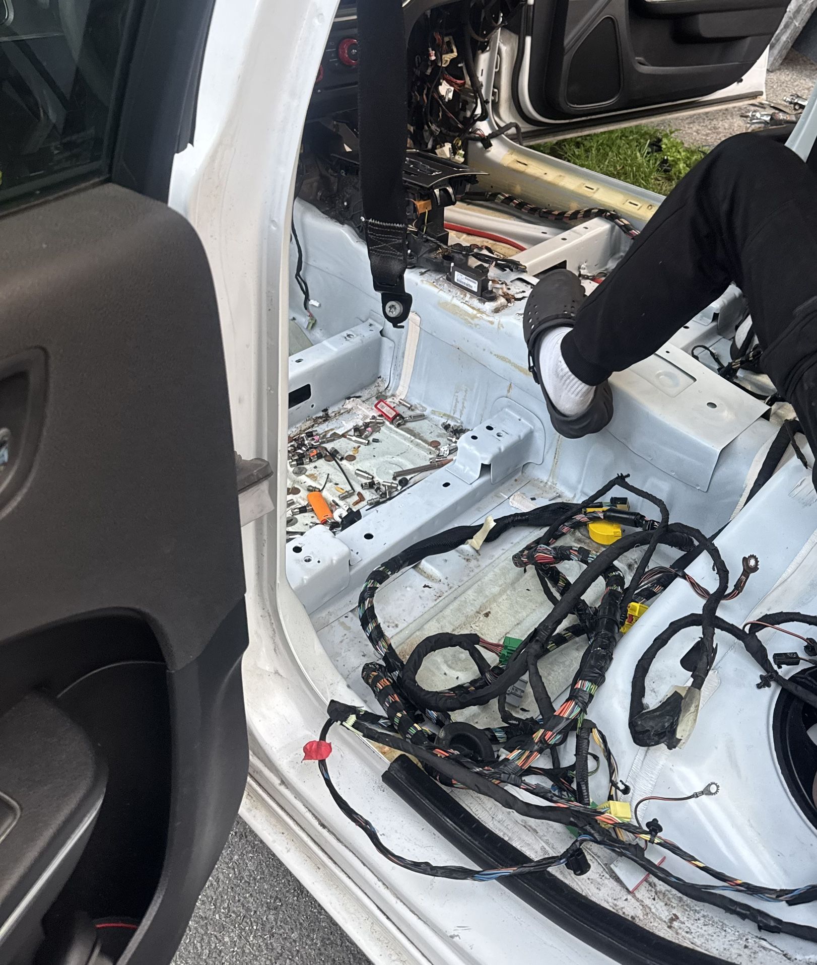 V6 Charger Body Harness