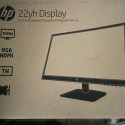 Computer Monitor