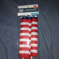 3 Mini Flag S