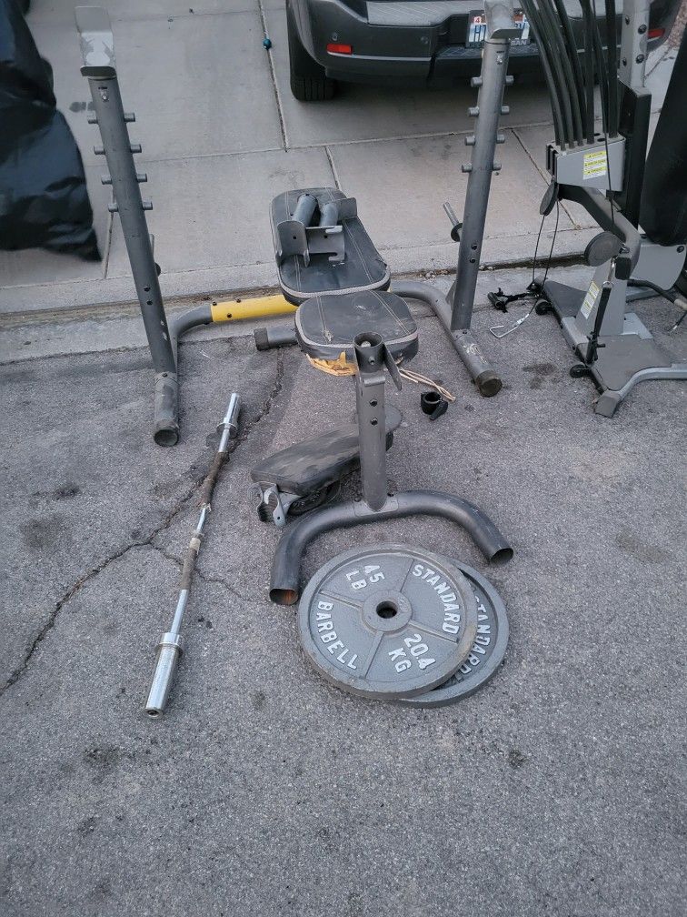 Free Weights!