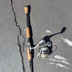 pflueger trion. im6 Rod And Reel 