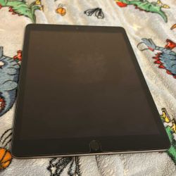 Apple 🍎  iPad 9th Gen