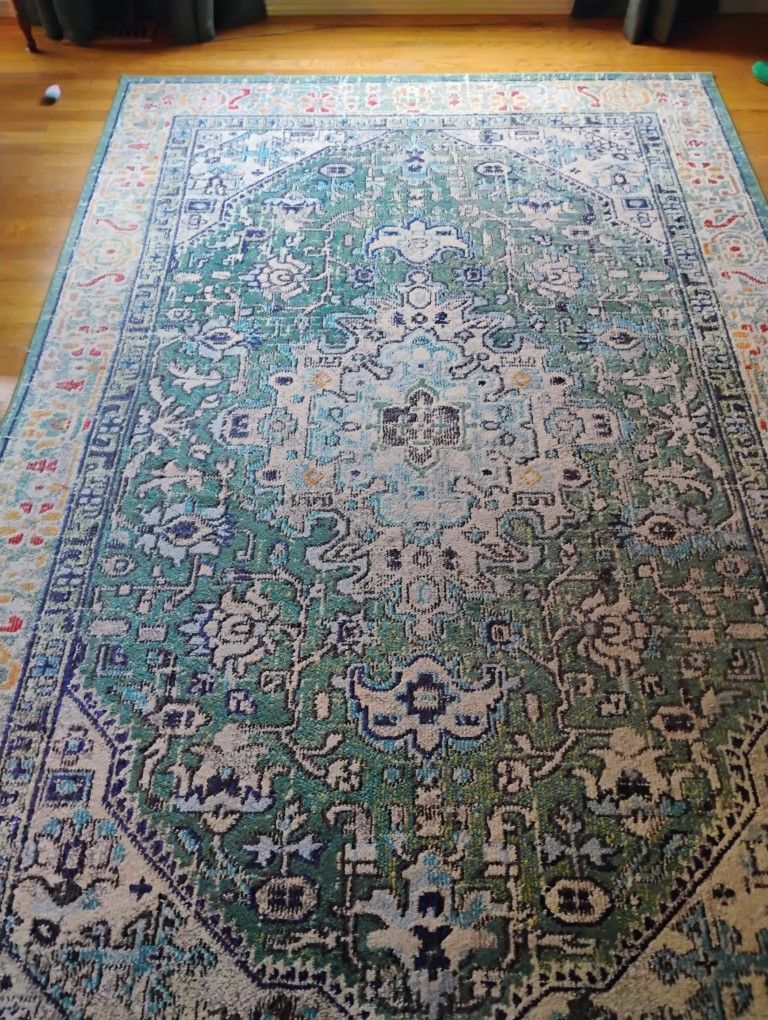 6 X 9 Boho Area Rug