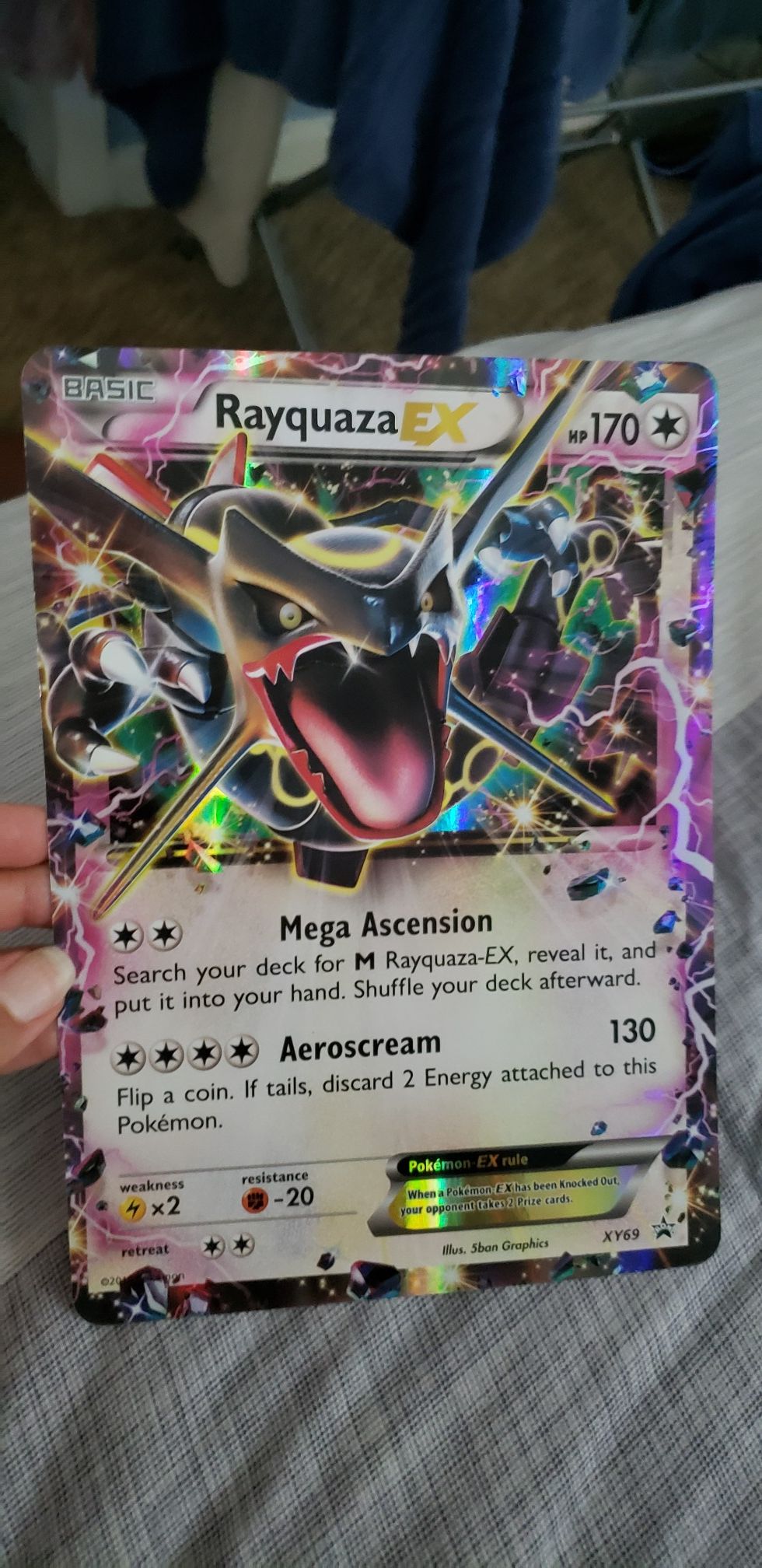 Large Pokemon Collector Card