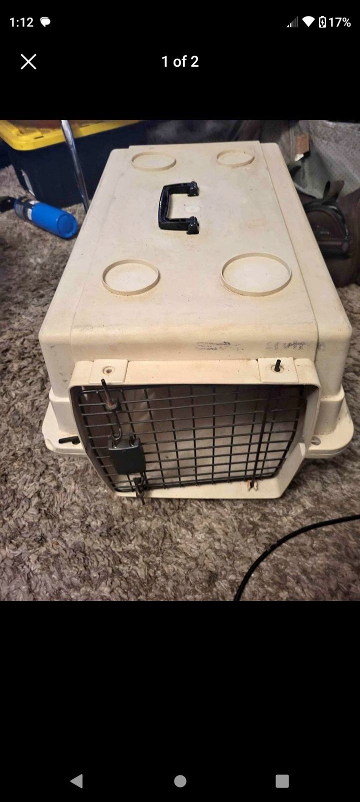 Kennel