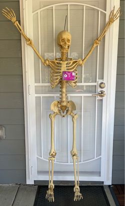 5 foot skeleton