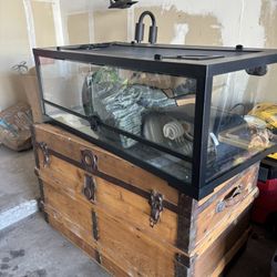 Reptile Cage With All Accessories 