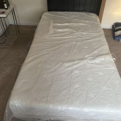 Twin Bed with Mattress-$100