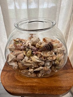 Large Glass Bowl Filled with Seashells