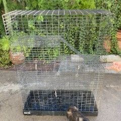 Cage 