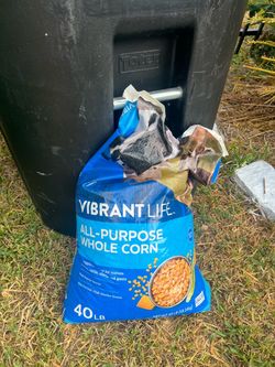 Cattle Sheep goats - all purpose whole corn 40LBS