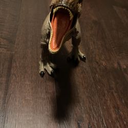 T-rex 2017
