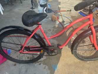 Beach cruiser siestas