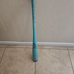 Youth Baseball Bat
