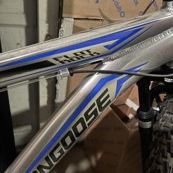 Mongoose Mountain Bike