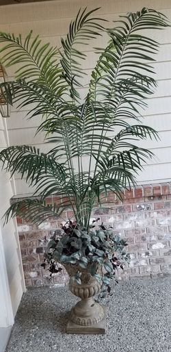 Beautiful bamboo with URN vases