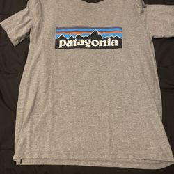 patagonia shirt