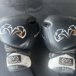Boxing Gloves 12 Oz Rival Rs2